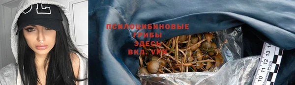 a pvp Россошь