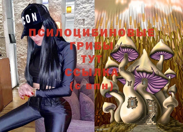 а пвп мука Рославль
