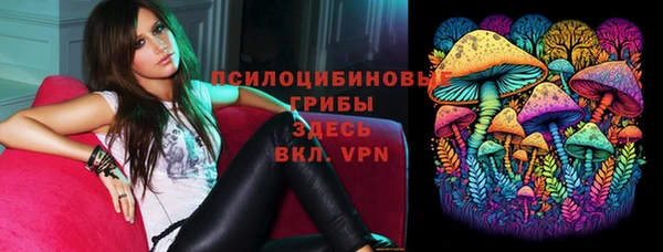 a pvp Россошь