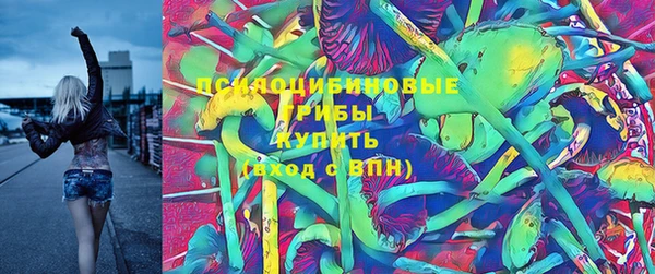 а пвп мука Рославль